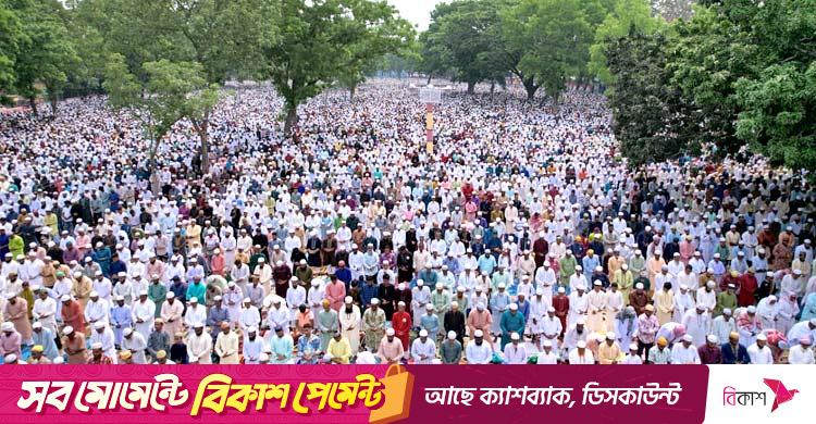 Frantsiya porno filmlar onlayn Mushukdan porno sperma