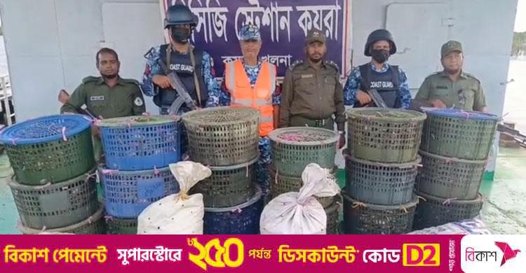সুন্দরবনে অভিযান, আড়াই লাখ টাকার কাঁকড়া জব্দ