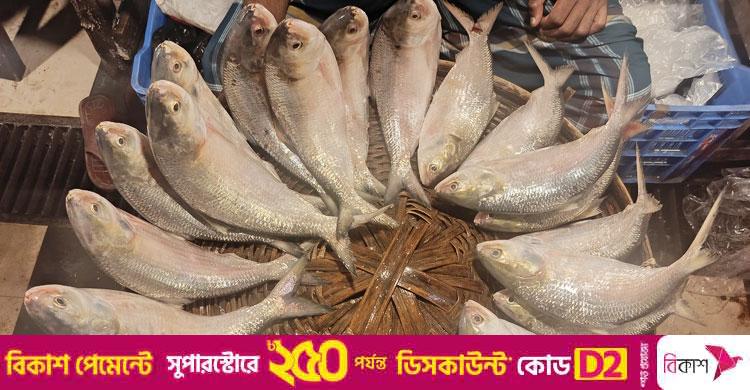ভোলায় বেড়েছে ইলিশের সরবরাহ