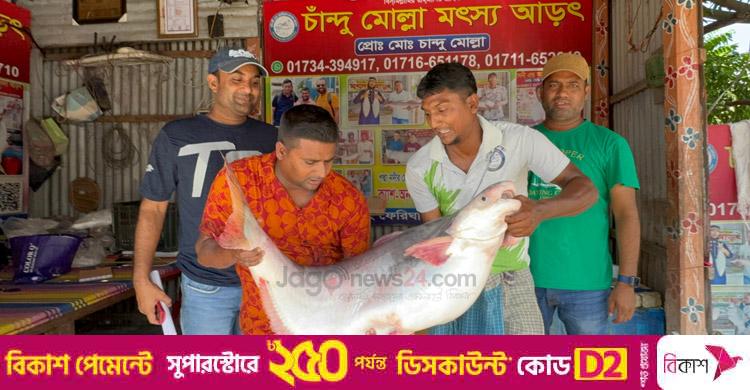 ৬৭ হাজারে বিক্রি হলো এক পাঙাশ