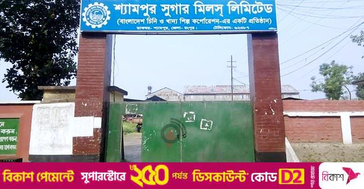 বরাদ্দ পেলেই উৎপাদন / আশা জাগাচ্ছে শ্যামপুর চিনিকল, রয়েছে নতুন চ্যালেঞ্জ