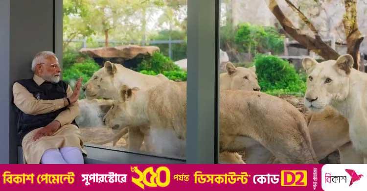 তদন্তের মুখে অনন্ত আম্বানির ব্যক্তিগত চিড়িয়াখানা