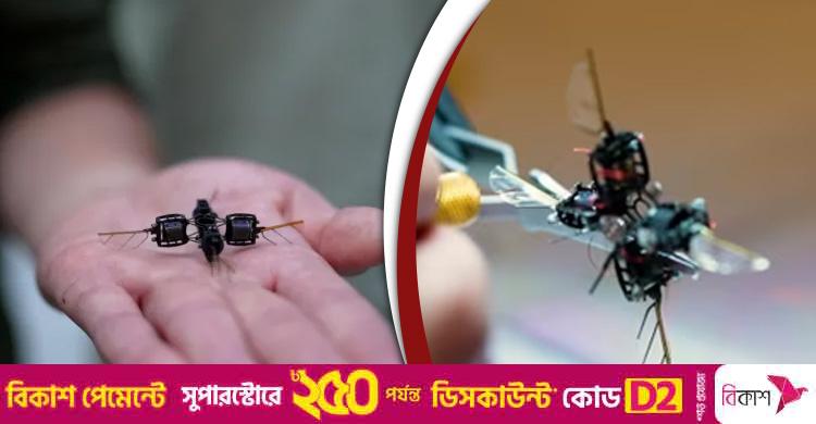 মঙ্গলে গাছের পরাগায়ণে সাহায্য করবে ‘ভ্রমর-সদৃশ’ রোবট!
