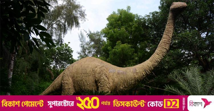 ভারতে জুরাসিক যুগের কঙ্কাল উদ্ধার, বিবর্তনের নতুন তথ্য মিলবে?