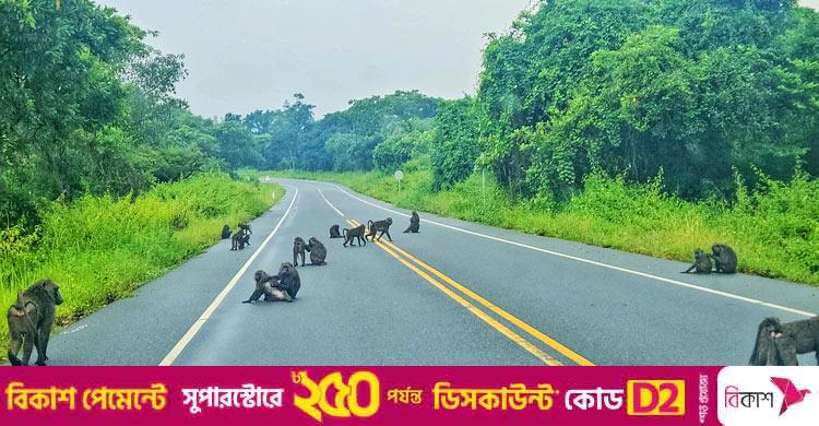 উগান্ডার বিস্ময়কর প্রাকৃতিক স্বর্গভূমি