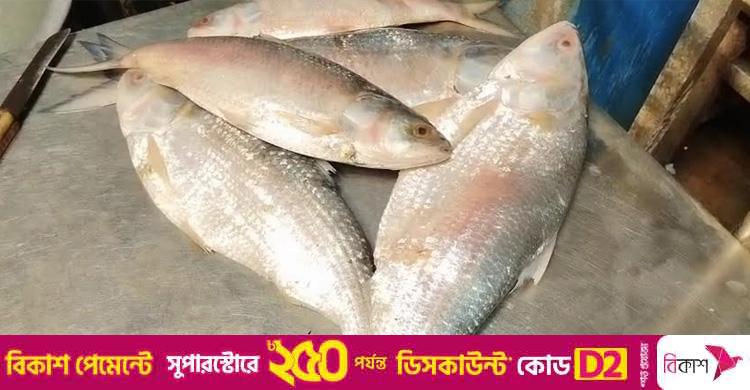 পূজার আগেই আসবে বাংলাদেশের ইলিশ, আশায় বুক বেঁধেছে পশ্চিমবঙ্গের মানুষ
