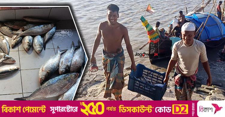 পাল্টেছে ইলিশের মৌসুম, দাবি জেলেদের