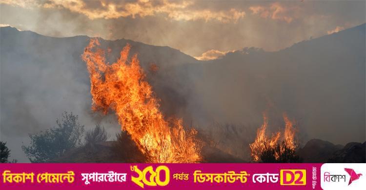 পর্তুগাল-স্পেনে ছড়িয়ে পড়েছে ভয়াবহ দাবানল