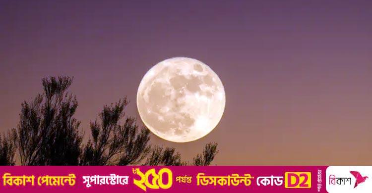 চাঁদ না থাকলে পৃথিবীর কী হবে?