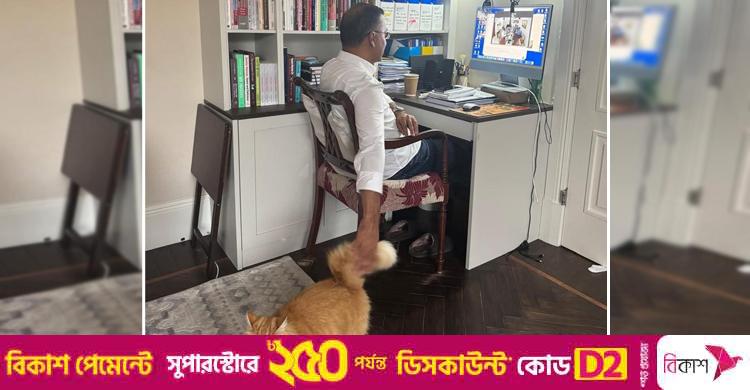 প্রিয় বিড়ালসহ ছবি ভাইরাল, প্রশংসায় ভাসছেন তারেক রহমান