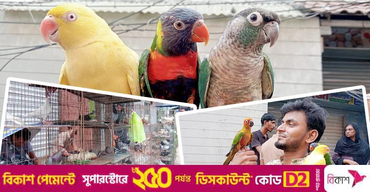 যে হাটে পাখির দাম হাজার থেকে লাখ টাকা