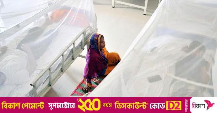 ডেঙ্গুতে ২৪ ঘণ্টায় ৬ জনের মৃত্যু