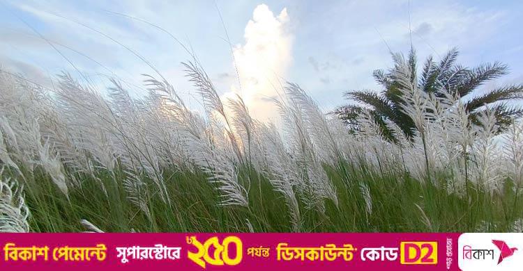 শরতের ছড়া ও কবিতা