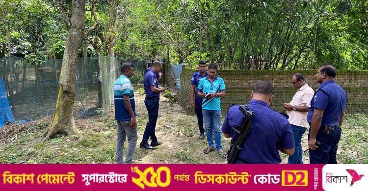 হঠাৎ কবরস্থানে বিস্ফোরিত হলো ৫০ ককটেল