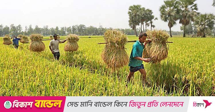 আড়াই লাখ টাকার কৃষিঋণে সিআইবি চার্জ নেবে না ব্যাংক