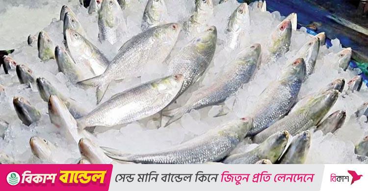দুর্গাপূজা উপলক্ষে ৩৭ প্রতিষ্ঠানকে ভারতে ইলিশ রপ্তানির অনুমতি