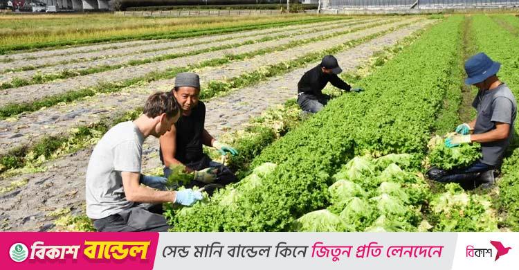 জাপানে জনশক্তি পাঠাতে যেসব গুরুত্বপূর্ণ সিদ্ধান্ত নিলো সরকার