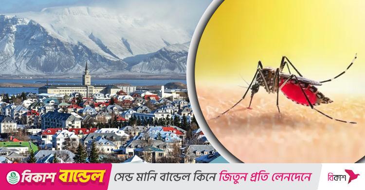 যে দেশে কোনো মশা নেই