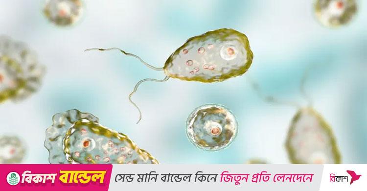 ভারতে ‘মগজ-খেকো অ্যামিবা’র সংক্রমণ, মৃত্যু ১৯