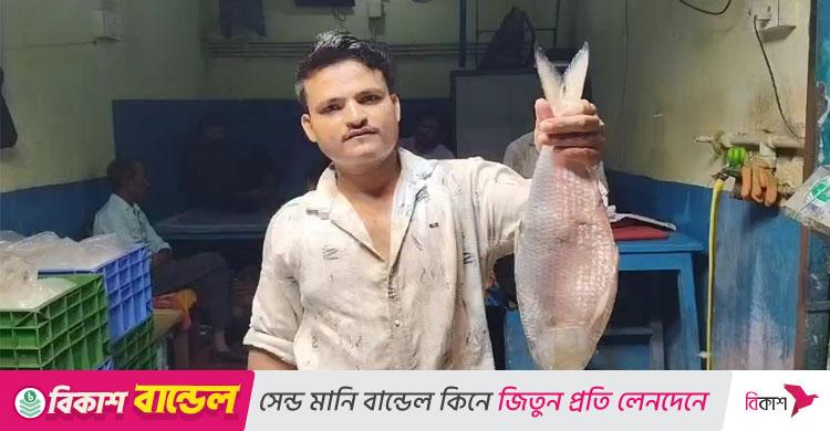 অবশেষে ভারত পৌঁছালো বাংলাদেশি ইলিশের প্রথম চালান