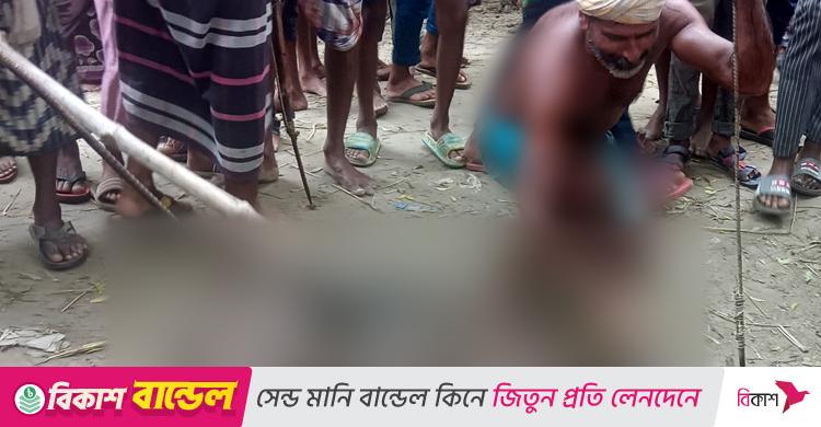 চাঁপাইনবাবগঞ্জে শূকরের কামড়ে আহত ৬