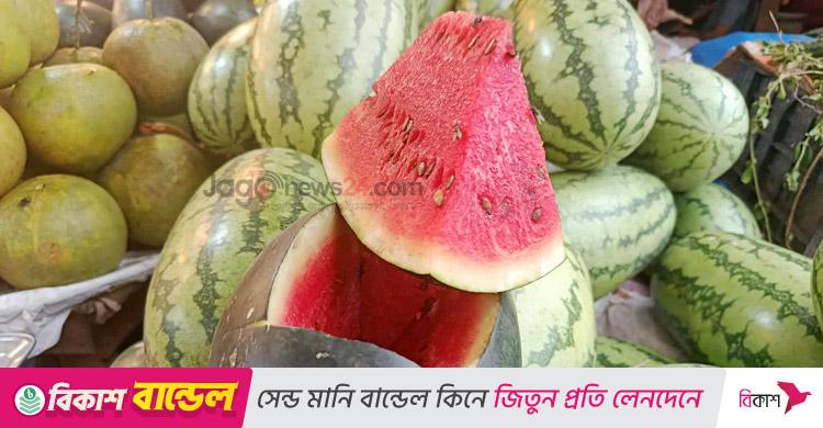 গ্রীষ্মের তরমুজ মিলছে শরতেও, দাম ৬০-৮০ টাকা কেজি