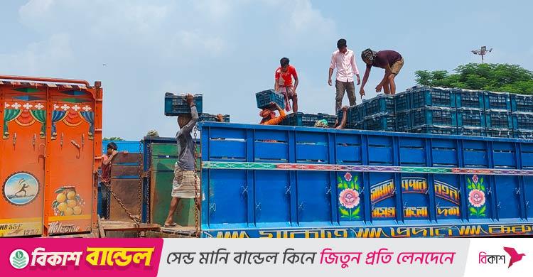 ৩ বছর পর সোনামসজিদ দিয়ে এলো ৬০ টন টমেটো