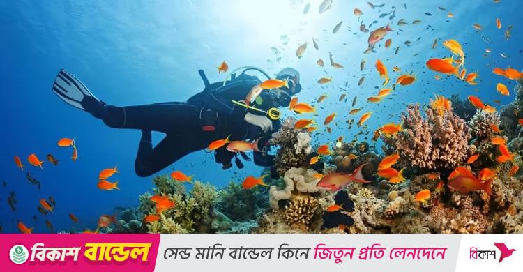 স্কুবা ডাইভিং করার আগে যা খেয়াল রাখবেন