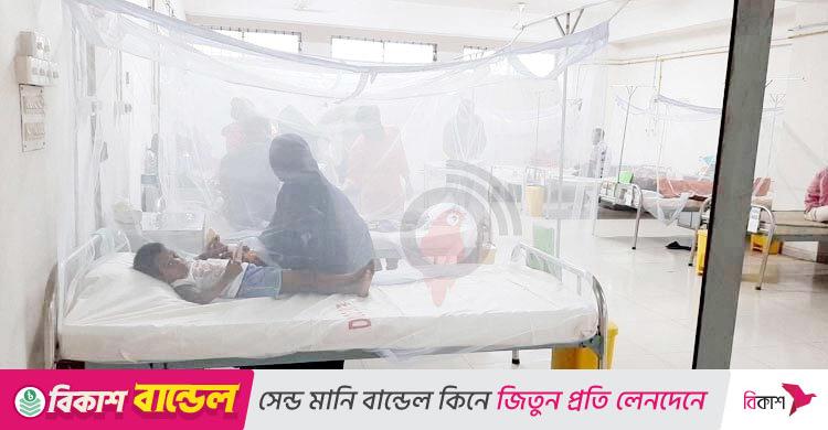 ডেঙ্গু কাড়লো আরও ৫ প্রাণ, হাসপাতালে ভর্তি ৬৬৮