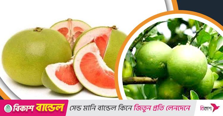 লেবু জাতীয় ফলের মধ্যে সবচেয়ে বড় যে ফল