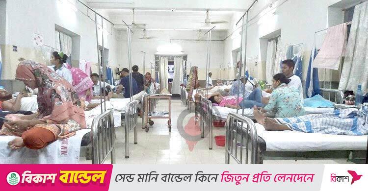 লাফিয়ে বাড়ছে ডেঙ্গু-চিকুনগুনিয়া, মশক নিধন ছাড়া নেই সমাধান