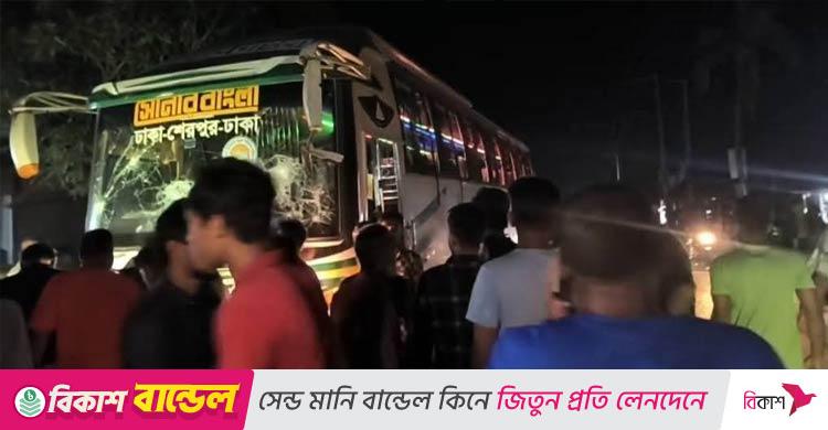 শেরপুরে বাসচাপায় নিহত ২