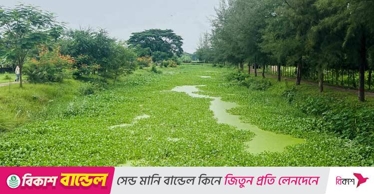 ইসলামী বিশ্ববিদ্যালয় / বাজেট সংকটে সৌন্দর্য হারাচ্ছে মীর মুগ্ধ সরোবর