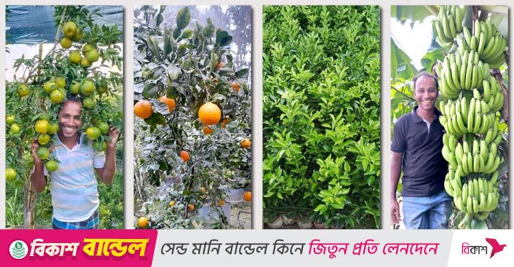 ইমদাদুলের সাফল্য / চাকরি ছেড়ে নার্সারি, ৬ মাসে আয় ১২ লাখ