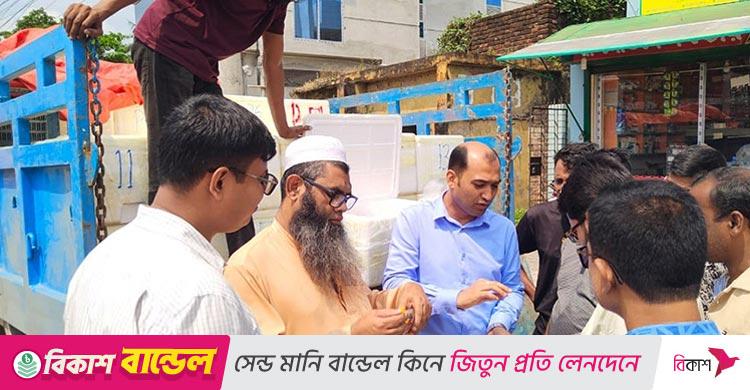 বেনাপোল দিয়ে সাতদিনে ভারতে গেলো ১০৩ টন ইলিশ