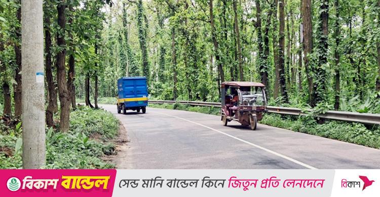 মাওনা-কালিয়াকৈর সড়কের ২০ বাঁক যেন মরণফাঁদ