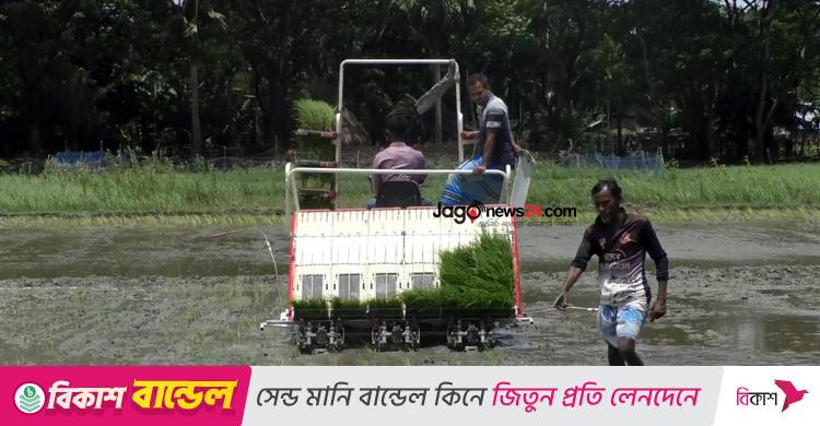 ভোলায় বাড়ছে আবাদ, শূন্যের কোঠায় পতিত জমি