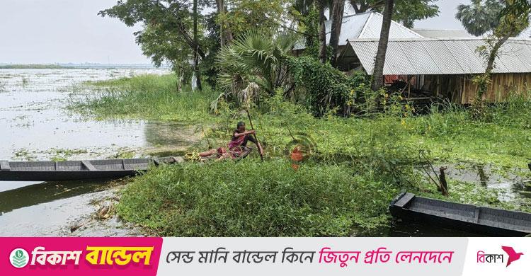 জলাবদ্ধতা-অভাব-আতঙ্ক, দুর্গাপূজার উৎসব নেই বাড়েধাপাড়ায়