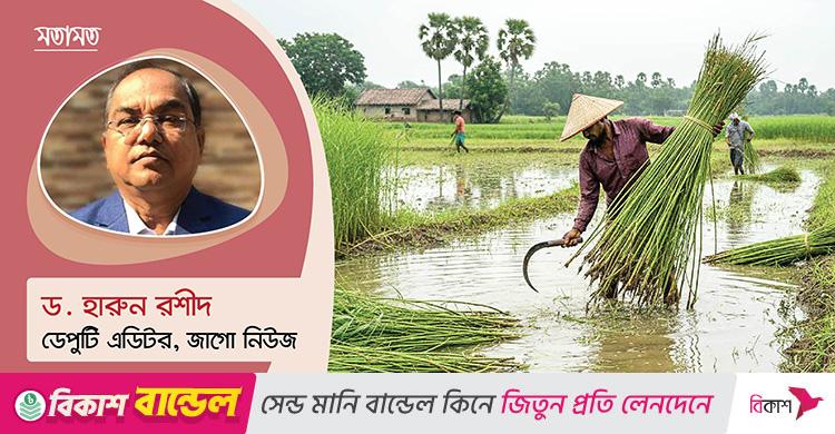 দেশপ্রেম কি কেবলি লোক দেখানো ব্যাপার?