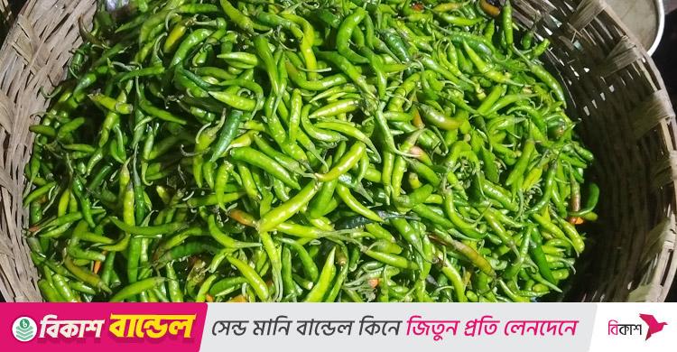 ময়মনসিংহে এক সপ্তাহে কাঁচামরিচের দাম বেড়েছে ১০০ টাকা