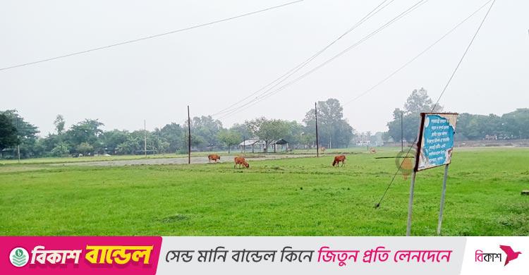 ৪৫ বছরেও শুরু হয়নি ফুলবাড়ী উপশহর প্রকল্পের কাজ