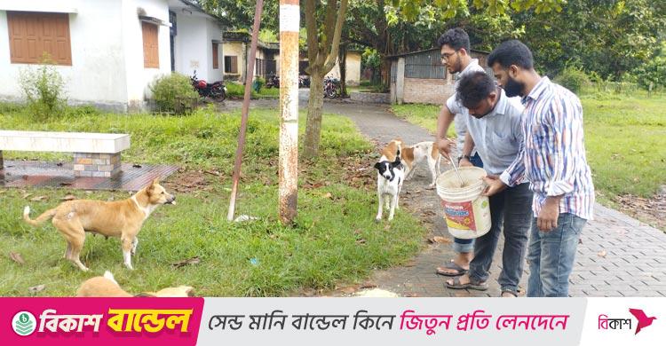 রাজশাহী বিশ্ববিদ্যালয় / বন্ধ ক্যাম্পাসে প্রাণীদের খাবার দিচ্ছে ছাত্রদল মনোনীত প্যানেল