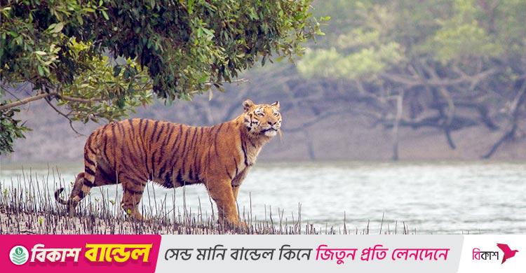 প্রাণীকুল বাঁচলেই বাঁচবে পৃথিবী