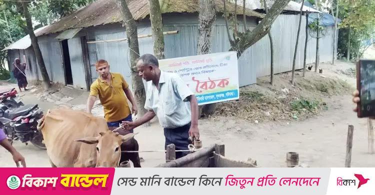 অ্যানথ্রাক্স প্রতিরোধে সরকারের জরুরি ও সমন্বিত কার্যক্রম শুরু