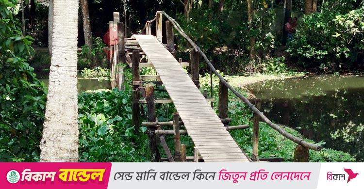 ১০ গ্রামের মানুষের ভরসা নড়বড়ে কাঠের সাঁকো