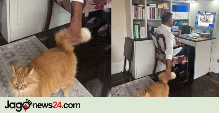 বিড়ালটি আমার মেয়ের বিড়াল: তারেক রহমান