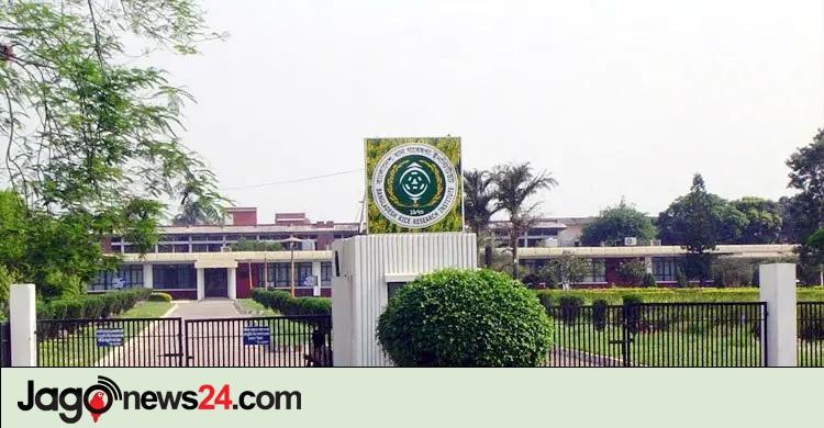 ৩২ জনকে নিয়োগ দেবে ধান গবেষণা ইনস্টিটিউট