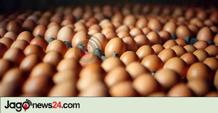 এক দশকে ডিম উৎপাদন দ্বিগুণ, চাহিদাও বেড়েছে
