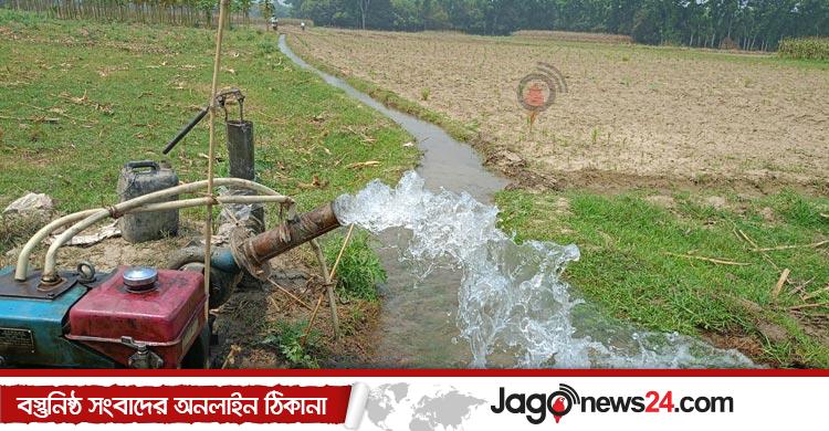 জলবায়ু পরিবর্তনের প্রভাব / চুয়াডাঙ্গায় কৃষিতে বছরে ক্ষতি কোটি কোটি টাকা