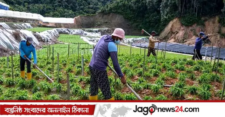তিনটি প্রধান খাতে বিদেশি কর্মী নিয়োগে সুখবর দিলো মালয়েশিয়া